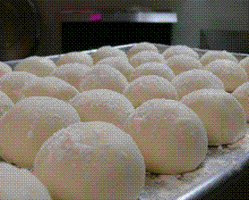 Pizza Dough